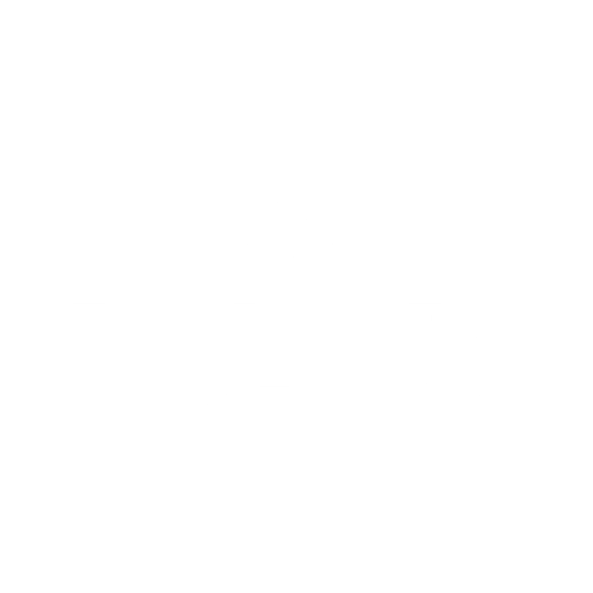 FS (1)